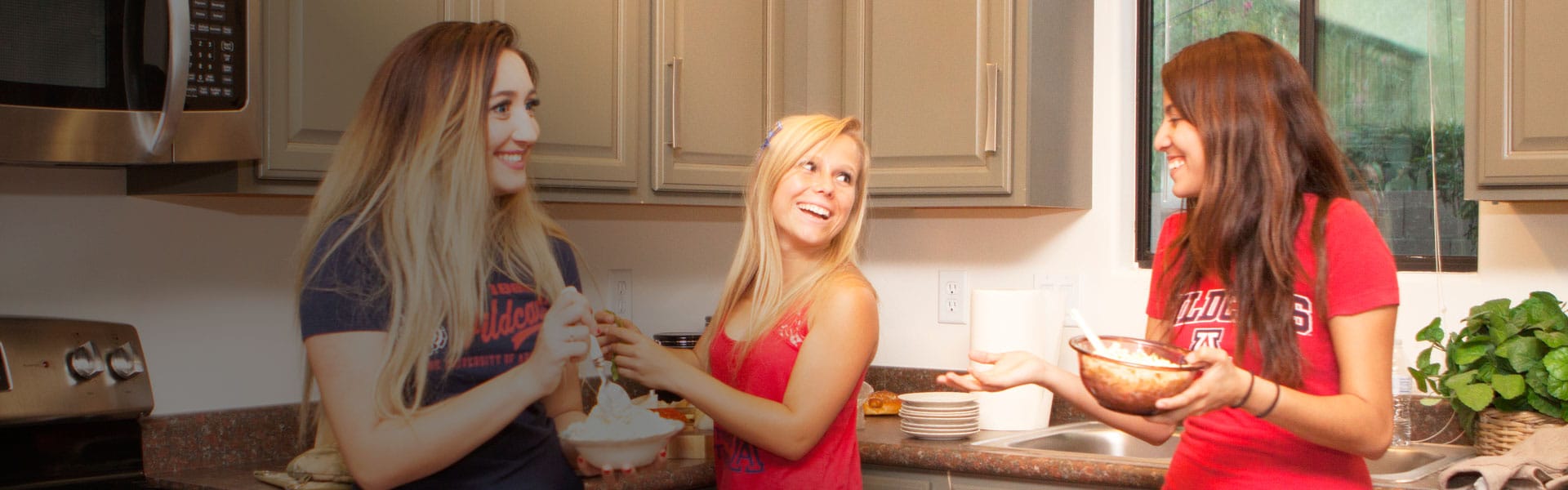 Houses For Rent near University of Arizona